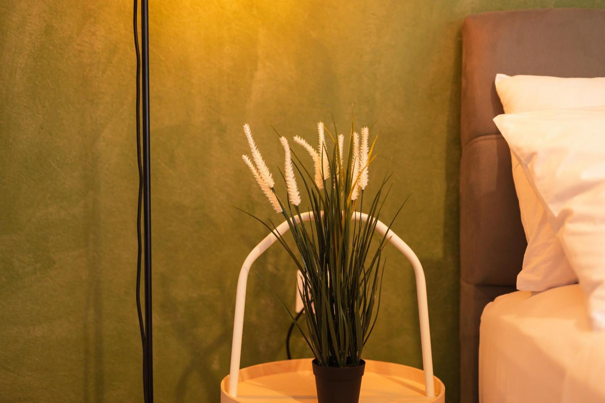 Ancient Forest Suite By Heeaven'S Hall Luxury Suites Alejandrópolis Exterior foto
